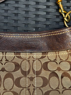 Coach Signature Carly Medium Hobo Bag