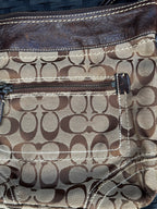 Coach Signature Carly Medium Hobo Bag