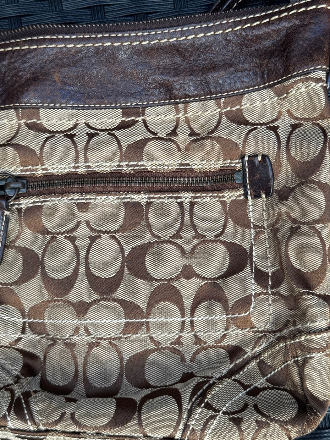 Coach Signature Carly Medium Hobo Bag